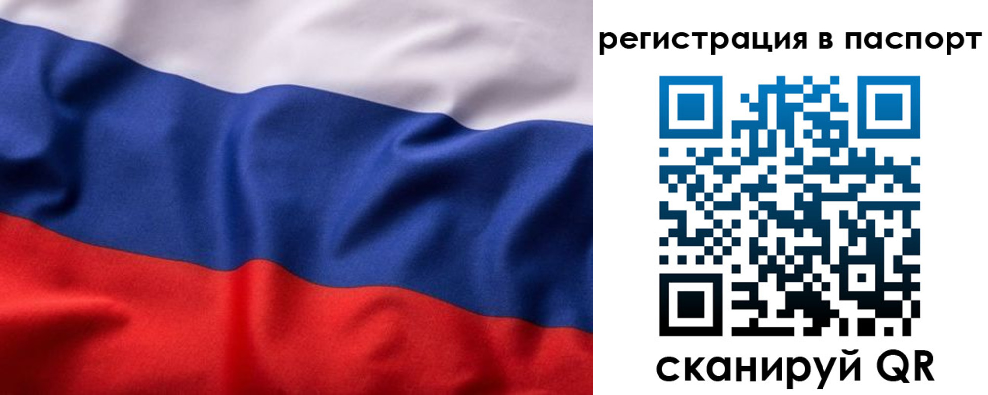 временная регистрация законно в Димитровграде